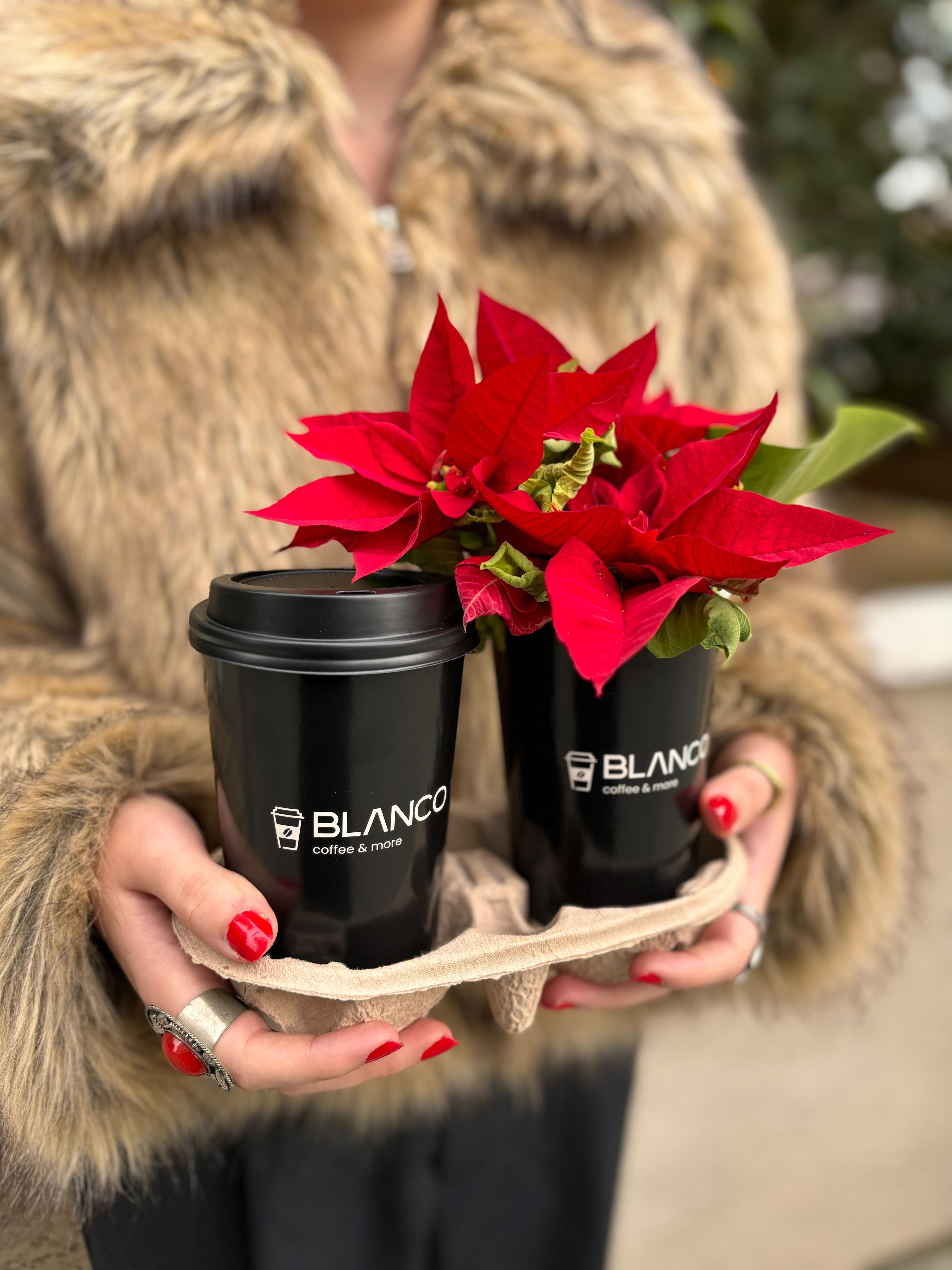 Blanco Coffee